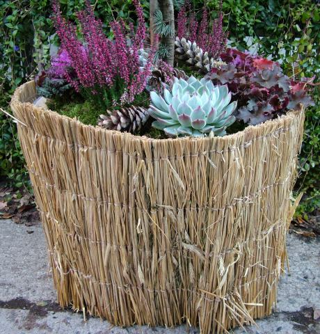 Planter i krukker home and garden amba