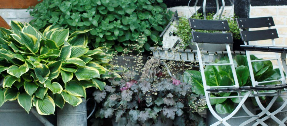 Planter i krukker home and garden amba