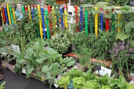 Urtehaven og drivhuset home and garden amba Altan urtehave