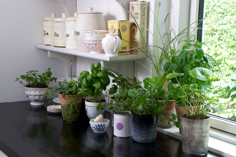 Stueplanter i ferietiden home and garden amba